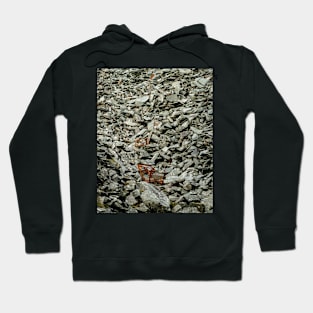 Hodge Close Quarry slate pile Hoodie